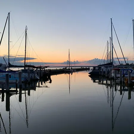 Schilfrohr Neuendorf (Saal)