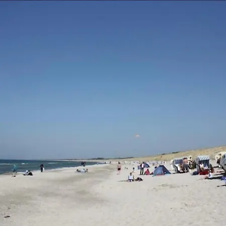 Schilfrohr Hébergement de vacances
